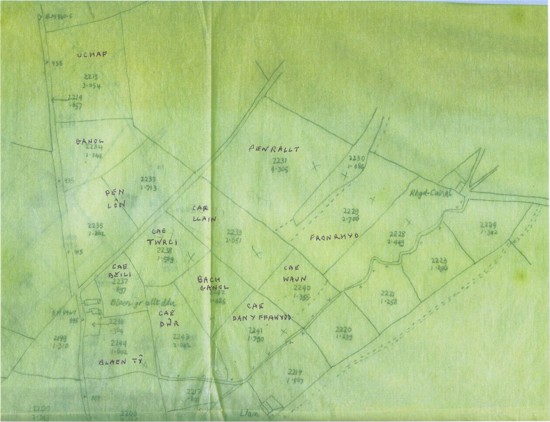 Field names from Blaen yr Allt Ddu in Ceredigion.