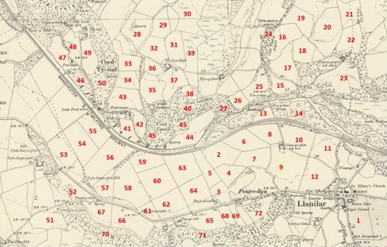 Location of field names collected in Llanilar.